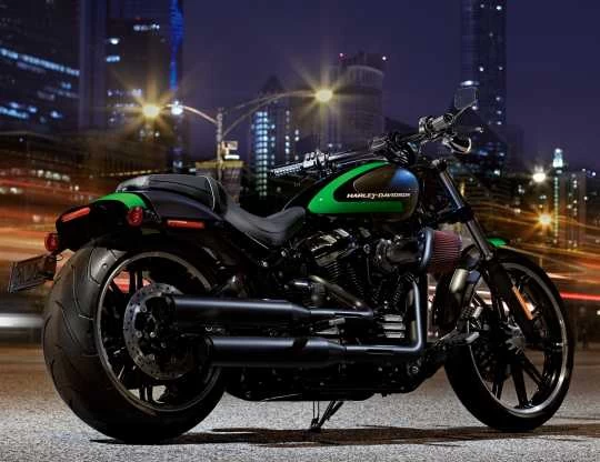 Harley Davidson Dominion Sozius Fußrasten Schwarz 5 Harley Davidson Dominion Sozius Fußrasten Schwarz – Bild 3