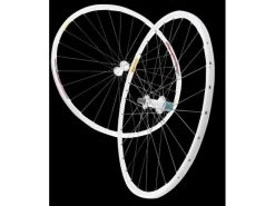 Tune Edelweisz RR CX